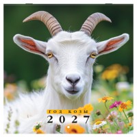 ��������� ��������� ���������� 2027�, BRAUBERG, 12 ������, 28,5�28,5��, "������ ����", 118414 - ������� ������