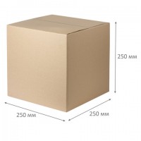 ���������� ����� 250 �� x ������ 250 �� x ������ 250 ��, ����� �22, ������� �, FEFCO 0201/����, ���������� � - ������� ������