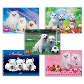 ������ ��� ���������, �4, 40 ������, �������, ������� ������, HATBER, 205�300 ��, "�������", 40�4���, A28209 - ������� ������