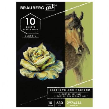   ,  + 630 /2, 297x414 , 5+5 , BRAUBERG ART, 105924 -  