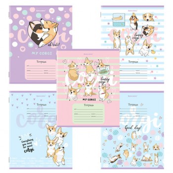 ������� 12 �. BRAUBERG, ������, ������� ������, "�����", 106460 - ������� ������