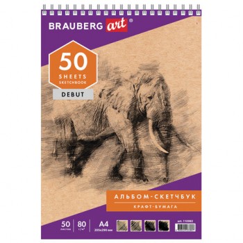 , - 80 /2, 205290 , 50 ., ,  , BRAUBERG ART DEBUT, 110982 -  