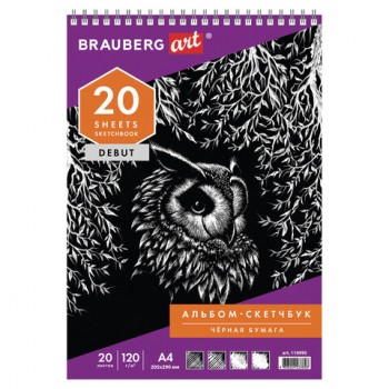 ��������, ������ ������ 120 �/�2, 205�290 ��, 20 �., �������, ������ ��������, BRAUBERG ART DEBUT, 110995 - ������� ������