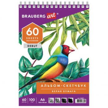 ��������, ����� ������ 100 �/�2, 105�148 ��, 60 �., �������, ������ ��������, BRAUBERG ART DEBUT, 110997 - ������� ������