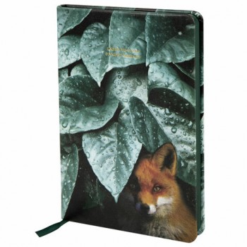 ���������� �������������� �5 (138�213 ��), BRAUBERG VISTA, ��� ����, �������, 136 �., "Thickets", 112028 - ������� ������