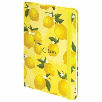 ������� � �������� ��� ������� 96 �., �5 (145�203 ��), ������� �������, BRAUBERG, "Lemons", 113727 - ������� ������