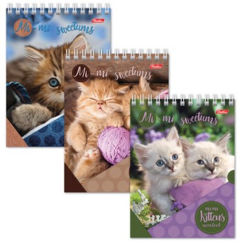 ������� ����� ������ (110�145 ��) �6, 40 �., �������, ������������ �������, ������, HATBER, "������", 40�6B1��, �12291 - ������� ������