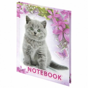 ������� ����� ������ 110�147 �� �6, 80 �., ������� ��������, ������, ���������� ���, BRAUBERG, "������", 122192 - ������� ������