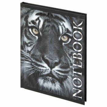 ������� ����� ������ 110�147 �� �6, 80 �., �������������� �������, ���������� ���, ������, BRAUBERG, "��������", 123244 - ������� ������