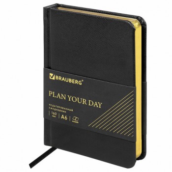 ���������� �������������� ����� ������ �6 (100�150 ��) BRAUBERG "Iguana", ������, 160 �., ������, 125104 - ������� ������