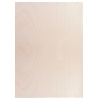 ��������� ���������� ��� ���������, �����������, �������, �3 (297*380 ��), 1 �����, ������ ��������, 150650 - ������� ������