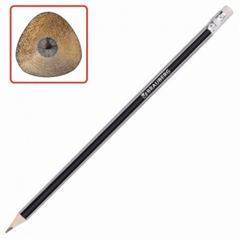 �������� �������������� BRAUBERG, 1 ��., "Alderida", ��, �����������, � ��������, ������ ������, ����������, 180610 - ������� ������