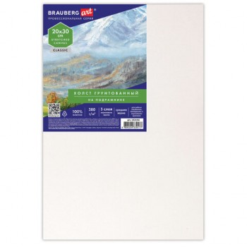 ����� �� ���������� 20�30 ��, 380 �/�2, ������������, 100% ������, BRAUBERG ART, 192194 - ������� ������