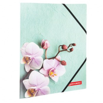 ����� �� �������� BRAUBERG "FLOWER", �4, ������� ������, �� 300 ������, 500 ���, 228032 - ������� ������