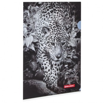 - BRAUBERG "LEOPARD", 4, 150 ,  , 228040 -  