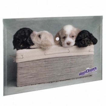 �����-������� � ������� �������� "�����", �4, 160 ���, �� 100 ������, ������� ������, 228050 - ������� ������