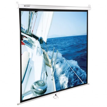 ����� ������������ ��������� (200�200 ��), �������, 1:1, BRAUBERG "WALL", 236727 - ������� ������