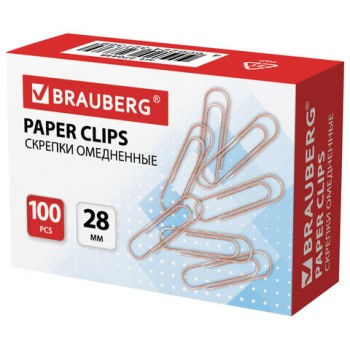  BRAUBERG, 28 , , 100 .,   , 270448 -  