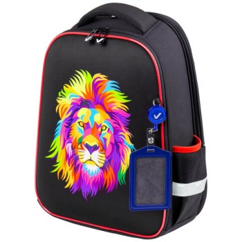  BRAUBERG FIT, 2 , "Colorful lion", 382714 , 270618 -  