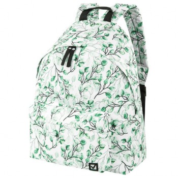 ������ BRAUBERG �������������, ����-������, "Spring", 20 ������, 41�32�14 ��, 270793 - ������� ������