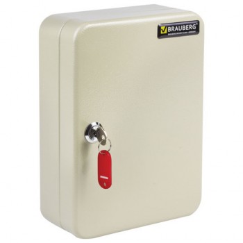 ������� (��������) �� 48 ������ BRAUBERG, 250�180�80 ��, � ������, + 48 ��������, �����, 290338 - ������� ������