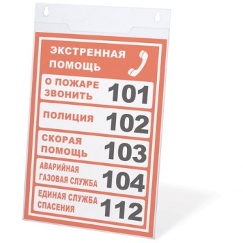 ��������� ��������� ��� ��������� ���������� ������������ (210�297 ��), �4, ���������, BRAUBERG, 290428 - ������� ������