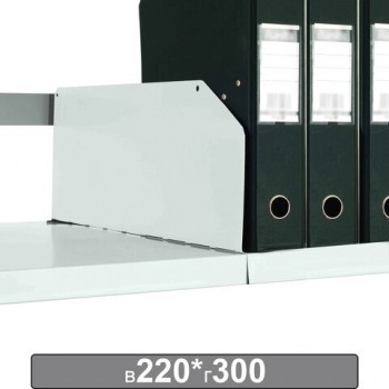 ����������� � �������������� ��������, 300�220 ��, �������� 20 ��., �24199510303 - ������� ������