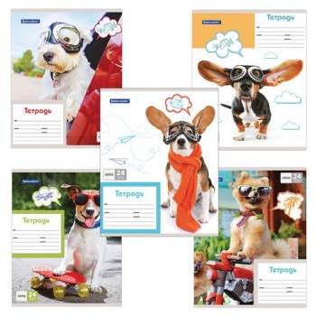 ������� 24 �. BRAUBERG, ������, ������� ������, MY BEST FRIEND, 403007 - ������� ������