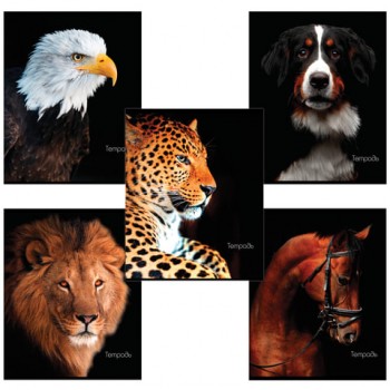 ������� �5, 48 �., BRAUBERG, ������, ������� ������, ��������, 403034 - ������� ������