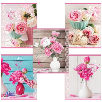 ������� �5, 48 �., BRAUBERG, ������, �������, ���������� �����, 403050 - ������� ������