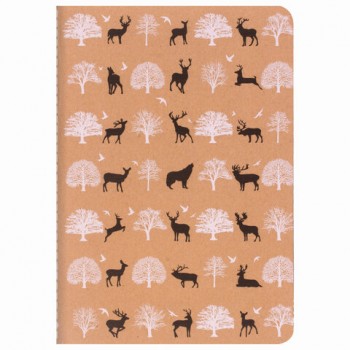 ������� 40 �. � ������ ������� �����, ������� ������ 70 �/�2, ������, �5 (147�210 ��), NATURE, BRAUBERG, 403758 - ������� ������