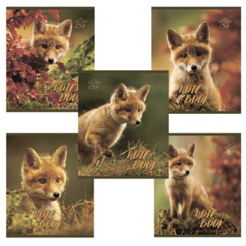 ������� �5, 48 �., ����, �����, ������, �������, ��������� ���, "������ ���" (5 �����), 028061 - ������� ������