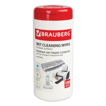     BRAUBERG, 1317 ,  100 ., , 510123 -  