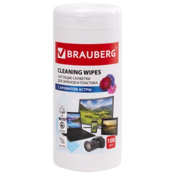        BRAUBERG   "",   100 ., , 511689 -  