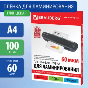 -   4,  100 ., 60 , BRAUBERG, 531452 -  