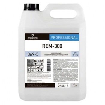    5 , PRO-BRITE REM-300, , , , 069-5 -  