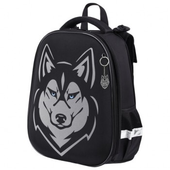 ����� BRAUBERG SHINY, 2 ���������, � ��������, "Husky", ���������� �������, 38�28�14 ��, 271383 - ������� ������