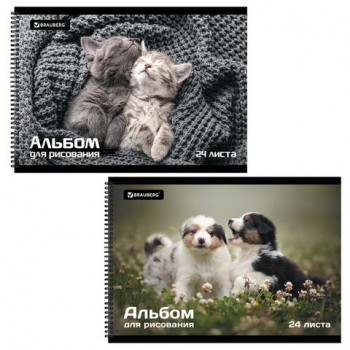 ������ �/���. �4 24�., �������, ������� ������, BRAUBERG, 205�290��, ������� (2 ����), 106696 - ������� ������