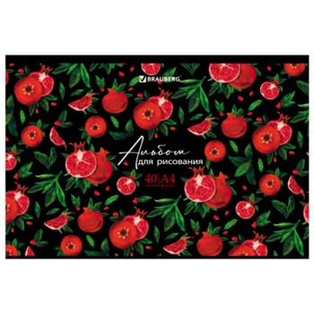 ������ �/���. �4 40�., �����, ��������� ���, BRAUBERG, 205�290��, �������, (2 ����), 106705 - ������� ������