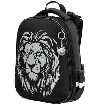  BRAUBERG SHINY, 2 ,  , "Savage lion",  , 382814 , 272039 -  