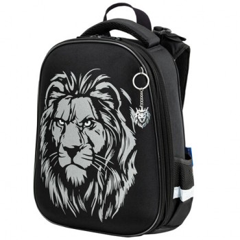 ����� BRAUBERG SHINY, 2 ���������, � �������, "Savage lion", ���������� �������, 38�28�14 ��, 272039 - ������� ������