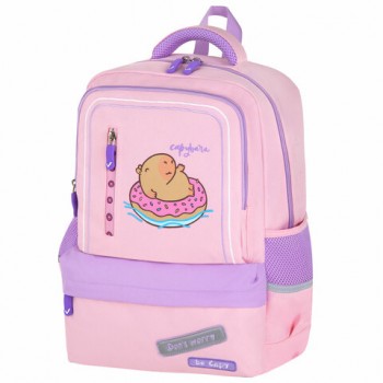 ������ BRAUBERG STAR, 1 ���������, 5 ��������, "Capybara", �������, 40x29x13 ��, 272062 - ������� ������