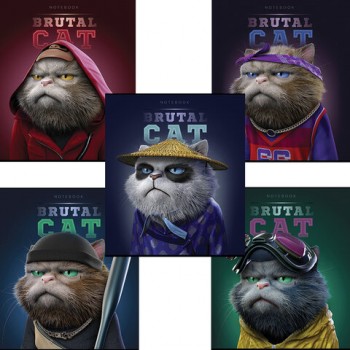 ������� �5 48�. ���� �����, ������, �������, TWIN ���, ���������� ���� (5 �����), 273, 27391 - ������� ������