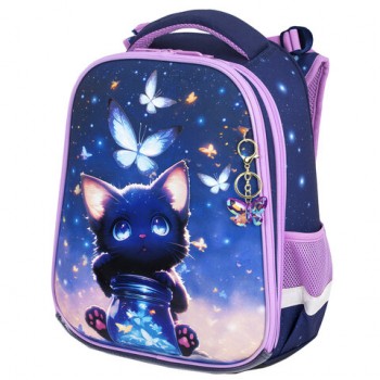 ����� BRAUBERG PREMIUM, 2 ���������, � �������, Night catcher, ����������, 38�29�16 ��, 273099 - ������� ������