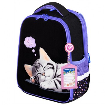  BRAUBERG FIT, 2 , Sleeping kitten,  , 382714 , 273107 -  