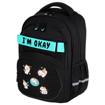 ������ BRAUBERG MOTION, 2 ���������, 3 �������, Positive cats, 41�28�17 ��, 273114 - ������� ������