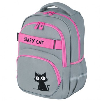 ������ BRAUBERG MOTION, 2 ���������, 3 �������, Crazy cat, 41�28�17 ��, 273115 - ������� ������