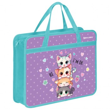 ����� �� ������ � ������� BRAUBERG �4, 1 ���������, �������, 80 ��, Funny kittens, 273368 - ������� ������