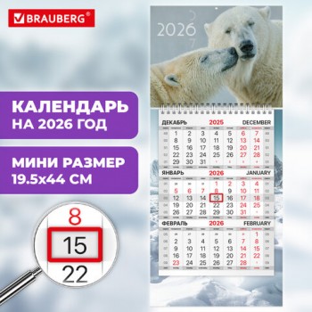   2026, 1  1  , , , BRAUBERG, , 116846 -  