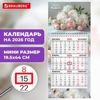   2026, 1  1  , , , BRAUBERG,  , 116849 -  